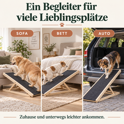 Gelenkschonende Hunderampe