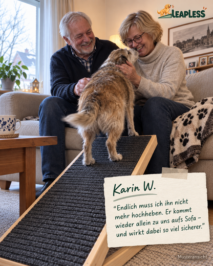 Gelenkschonende Hunderampe